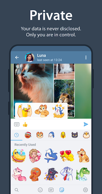 telegram apk premium