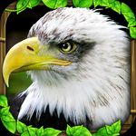 Icon Eagle Game APK 1.2 (Unlimited energy)