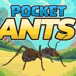 Pocket Ants