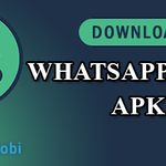 WhatsApp Aero