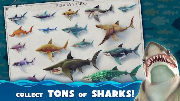 hungry shark world mod apk terbaru