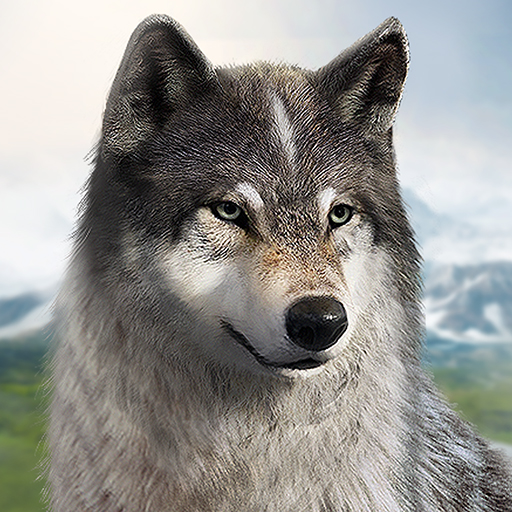 Wolf Recreation The Wild Kingdom Mod APK 1.0.28 (Limitless cash) Obtain #Imaginations Hub