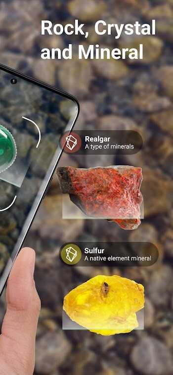 rock identifier mod apk download