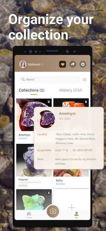 rock identifier mod apk for android