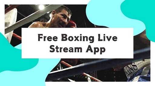 free boxing live stream apk