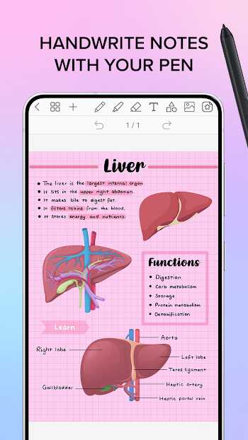 penly Mod apk