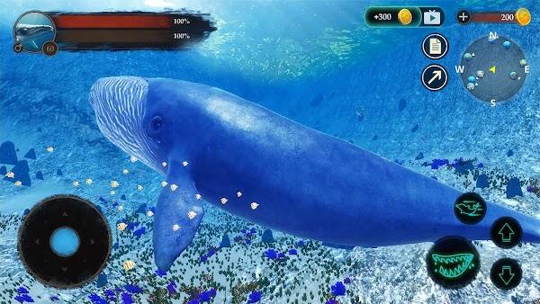 the blue whale apk download