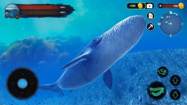 the blue whale apk for android