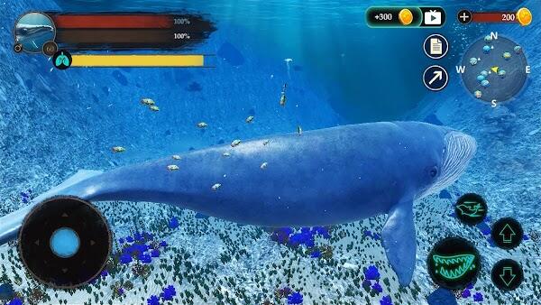 the blue whale apk latest version