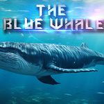 The Blue Whale