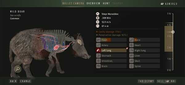 way of the hunter wild europe apk latest version