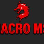 MACRO MSI SENSIBILIDAD PRO