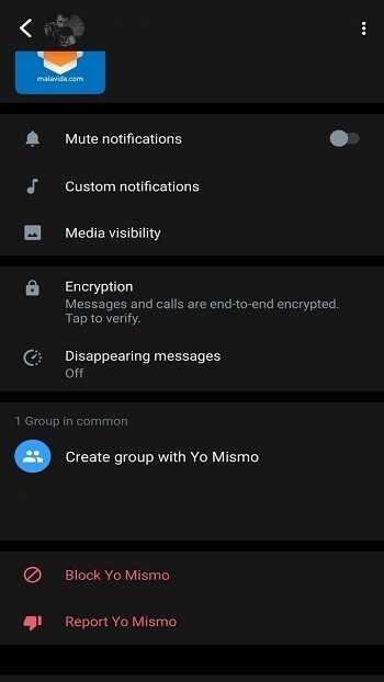 whatsapp iphone apk download