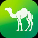 Camel Live