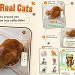 CatchCat